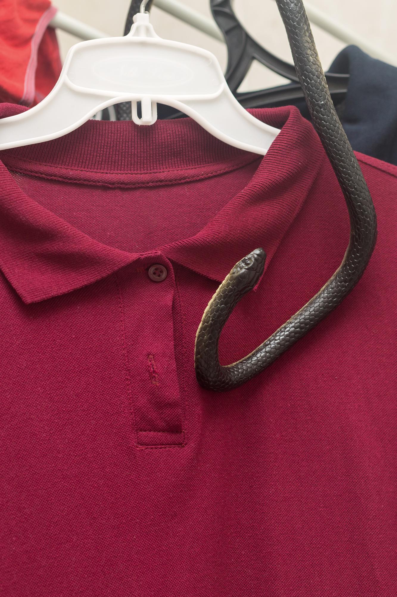 Unadorned polo shirt on table